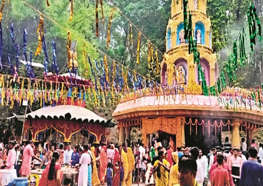 nardevi